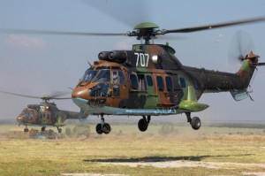 AS 532 AL Cougar